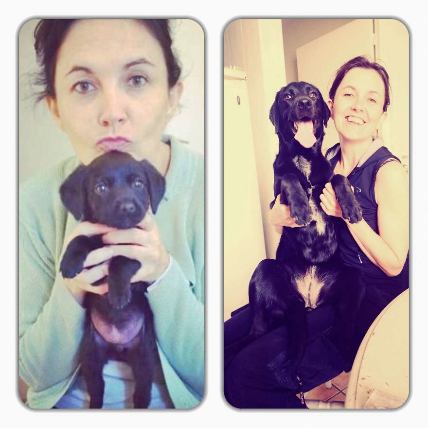 Sevimli hayvanların öncesi ve sonrası