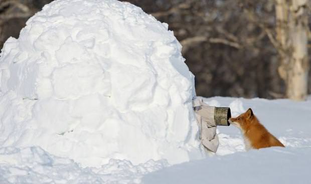 O muhteşem kareler böyle çekiliyor