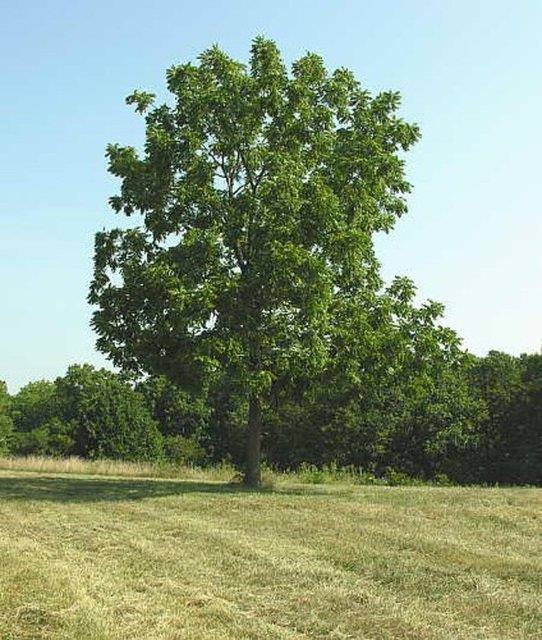 Bunları biliyor muydunuz?
