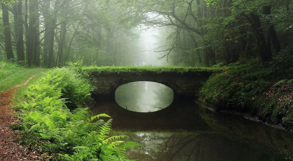 En iyi 11 duvar kağıdı