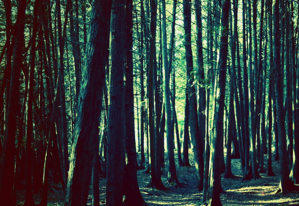 En iyi 11 duvar kağıdı