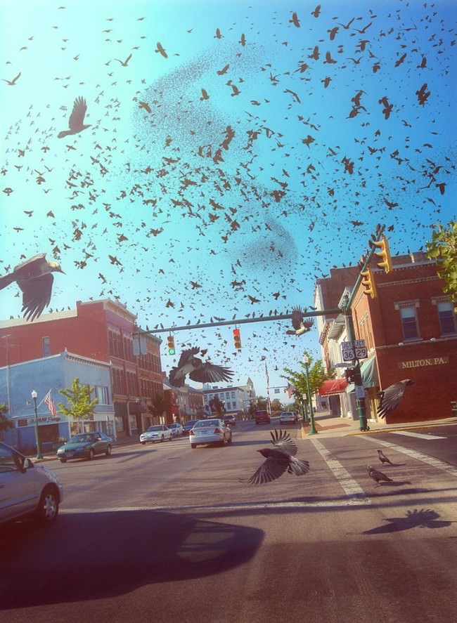 Kıyamet sonrası dünya