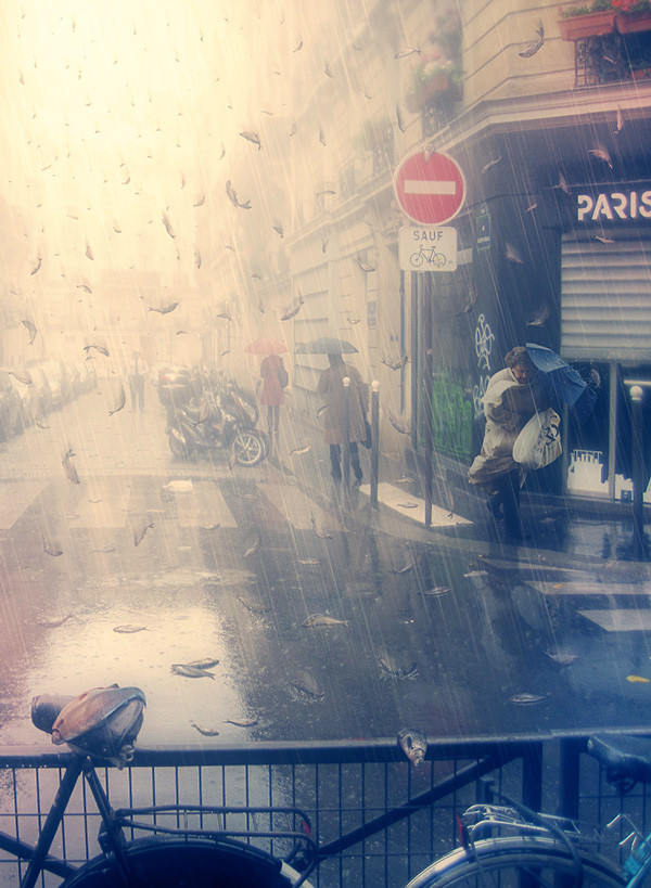 Kıyamet sonrası dünya