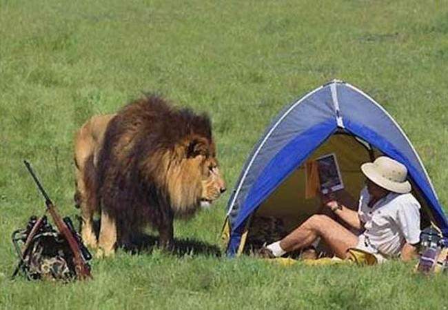 Bu insanlar çıldırmış olmalı