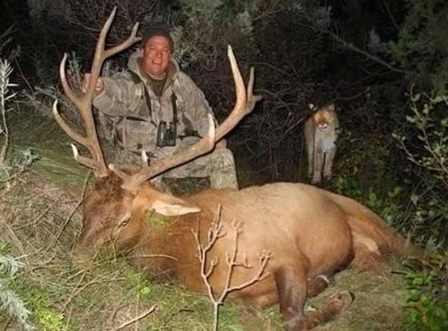 Bu insanlar çıldırmış olmalı