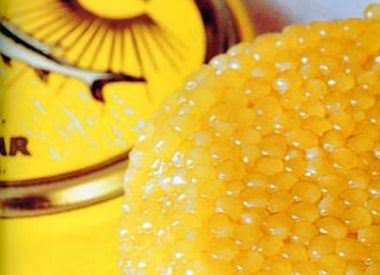 Dünyanın En Pahalı 19 Maddesi