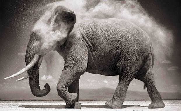 En korkunç 10 psikoloji deneyi!