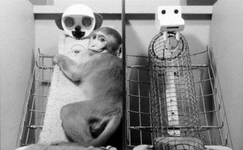 En korkunç 10 psikoloji deneyi!