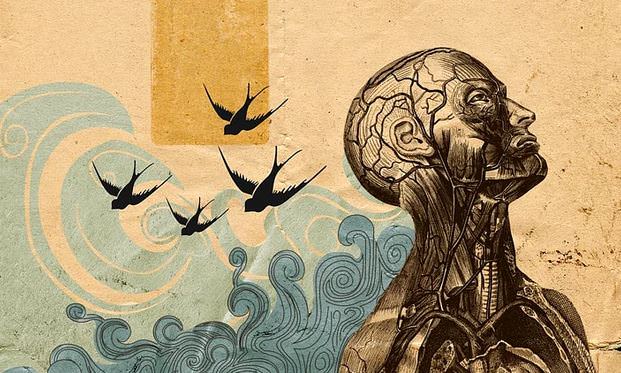 Akıllı insanlar neden çuvallar?