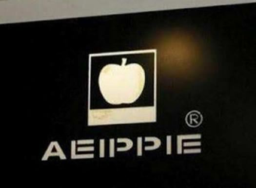 Çinliler sonunda bunu da yaptı!