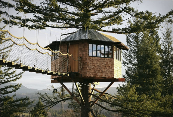 Ağaçların üzerinde büyüleyici yaşam