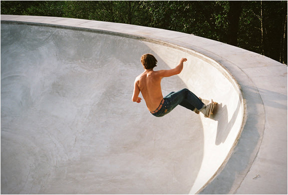 Ağaçların üzerinde büyüleyici yaşam