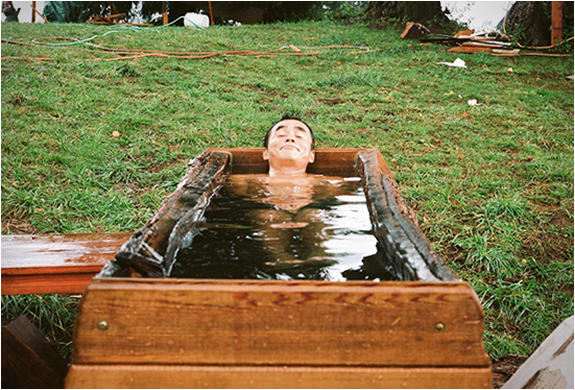 Ağaçların üzerinde büyüleyici yaşam