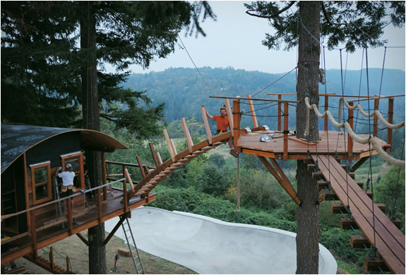 Ağaçların üzerinde büyüleyici yaşam