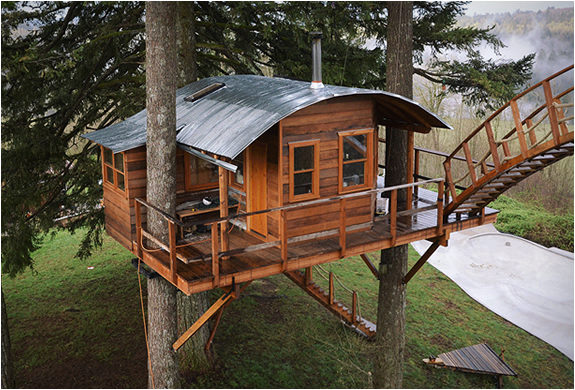 Ağaçların üzerinde büyüleyici yaşam