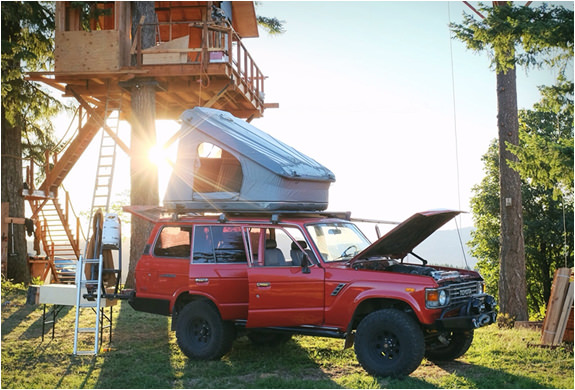 Ağaçların üzerinde büyüleyici yaşam