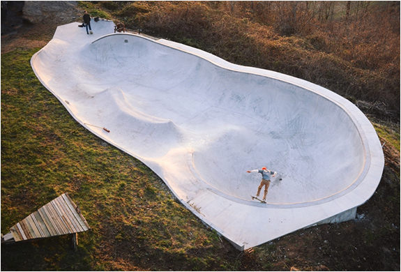 Ağaçların üzerinde büyüleyici yaşam
