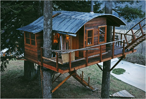 Ağaçların üzerinde büyüleyici yaşam