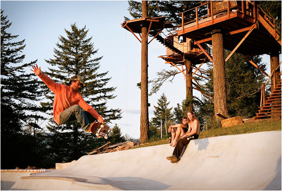 Ağaçların üzerinde büyüleyici yaşam