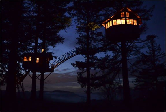 Ağaçların üzerinde büyüleyici yaşam