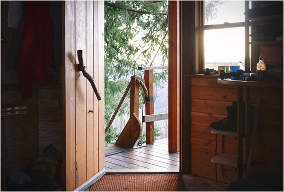 Ağaçların üzerinde büyüleyici yaşam