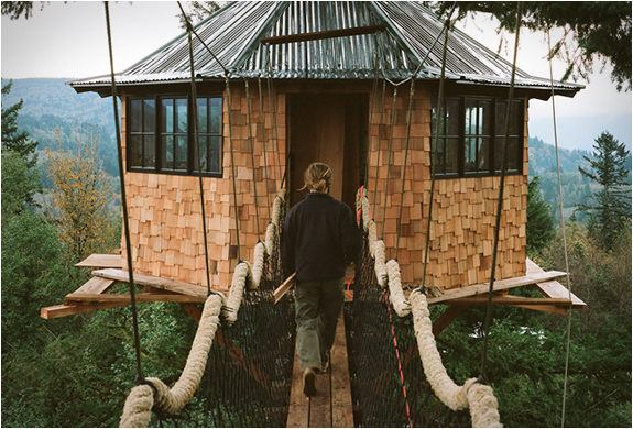 Ağaçların üzerinde büyüleyici yaşam