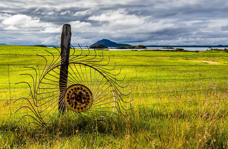 İzlanda'nın beyazı ve yeşili