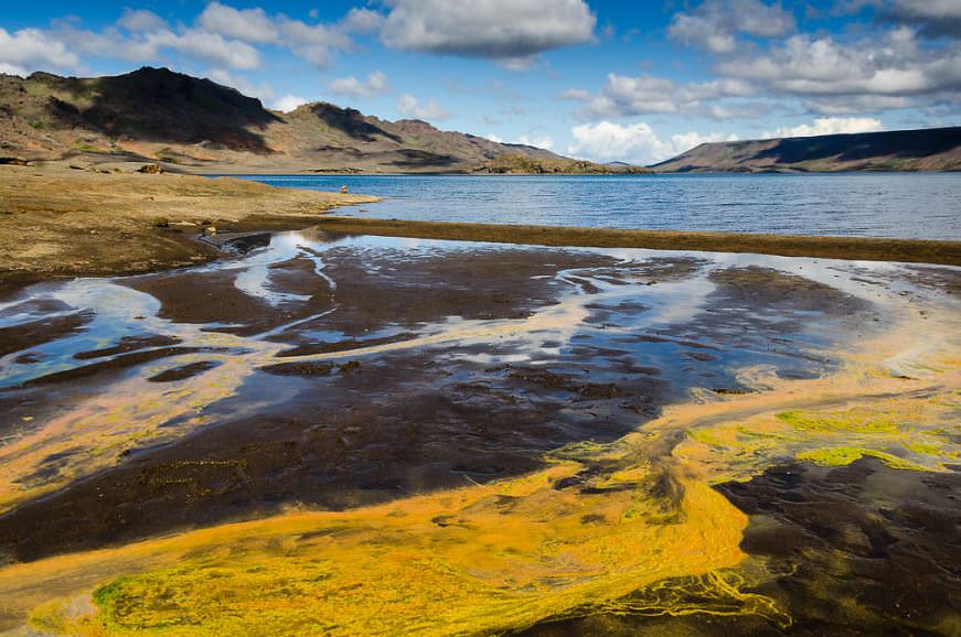 İzlanda'nın beyazı ve yeşili