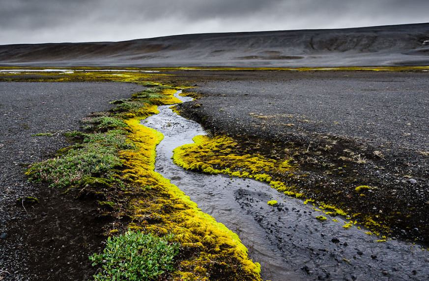İzlanda'nın beyazı ve yeşili