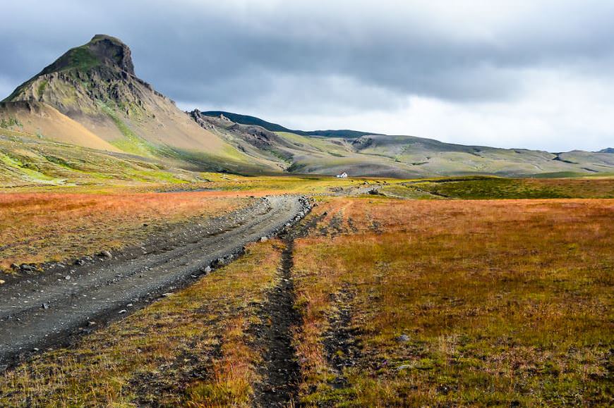 İzlanda'nın beyazı ve yeşili
