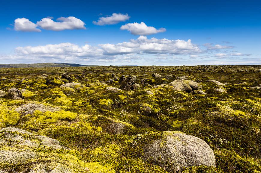 İzlanda'nın beyazı ve yeşili