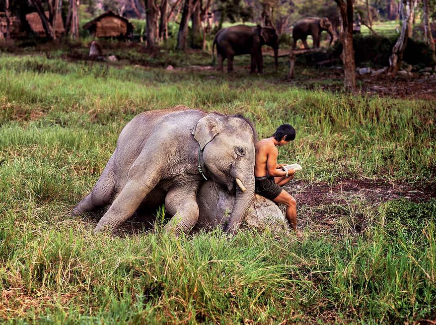 Steve McCurry' nin kadrajına yansıyan muhteşem kareler