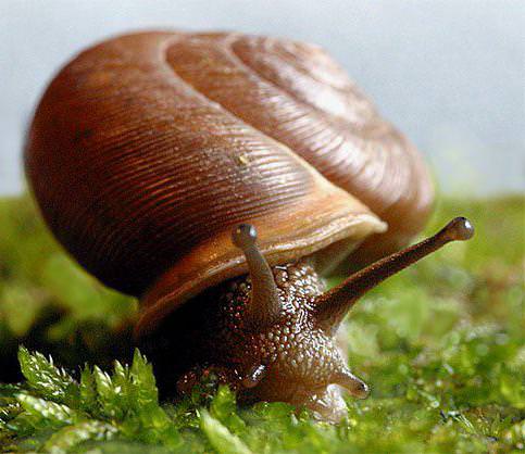 Hayrete düşüren bilgiler