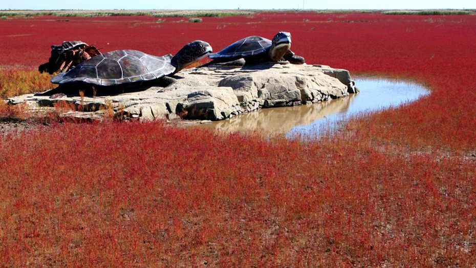 Görünce şaşıracağınız yerler