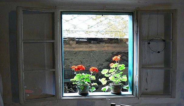 İnanılmaz tesadüfler