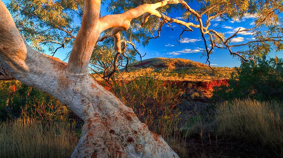 Batı Avustralya'nın doğal güzelliği