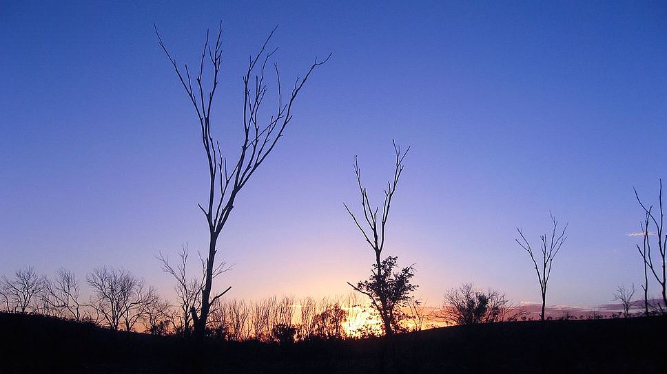 Batı Avustralya'nın doğal güzelliği