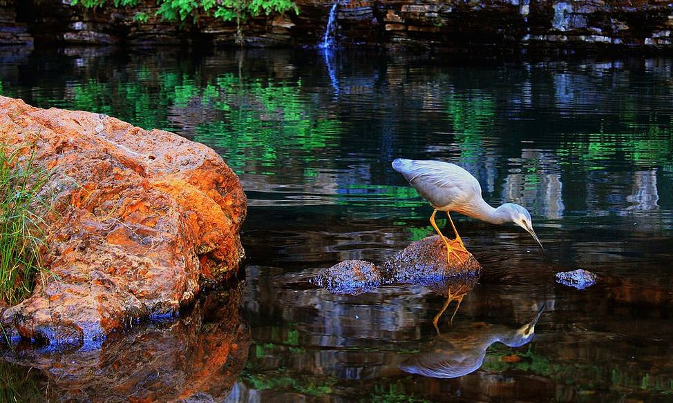 Batı Avustralya'nın doğal güzelliği