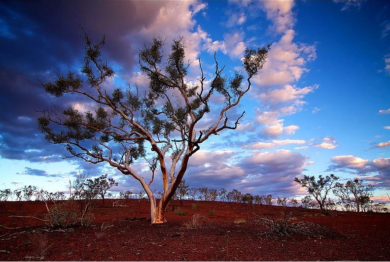 Batı Avustralya'nın doğal güzelliği