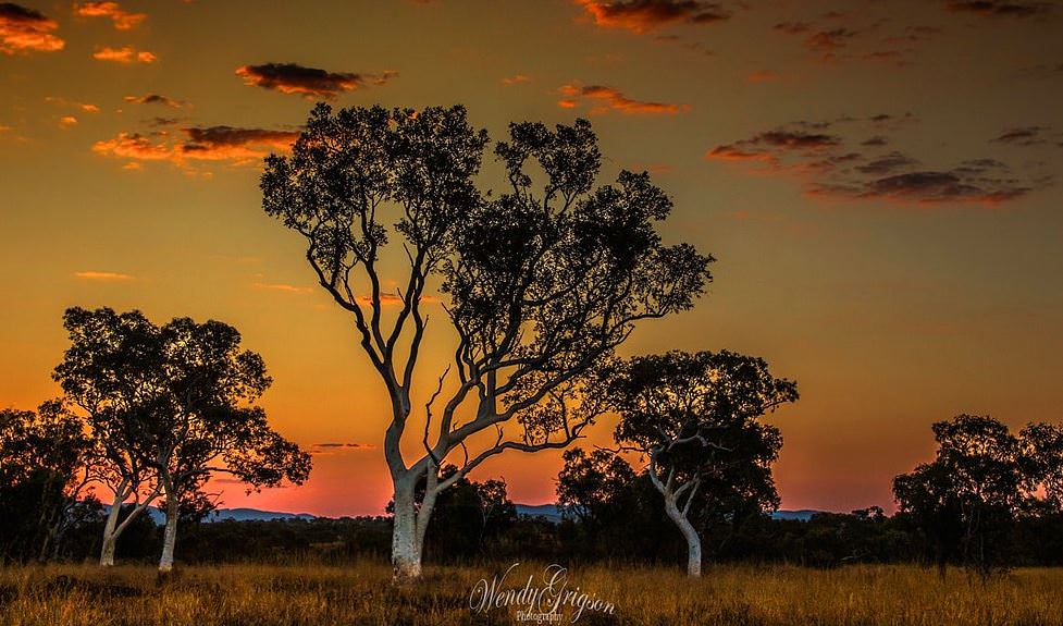 Batı Avustralya'nın doğal güzelliği