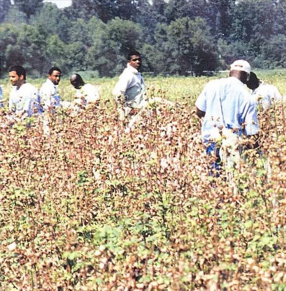 Dünyanın en korkunç hapishaneleri