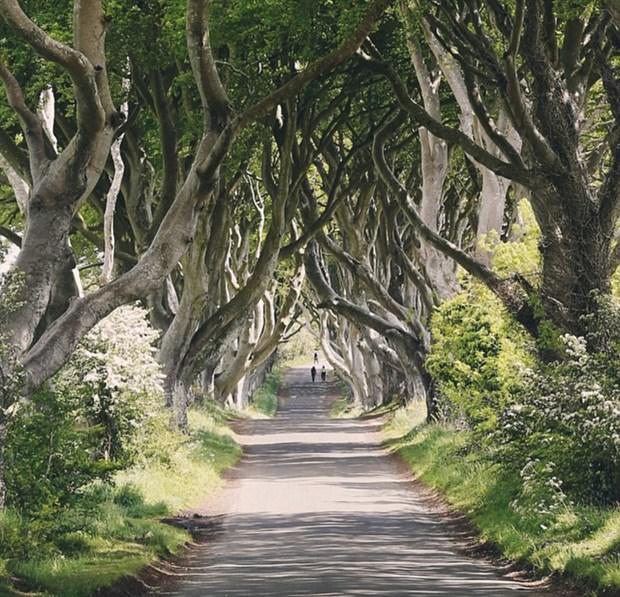 İşini bıraktı, Instagram fotoğrafçısı oldu