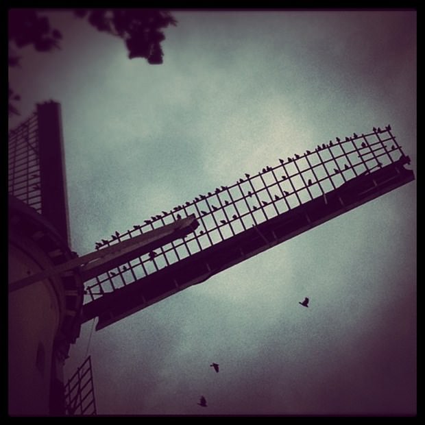 İşini bıraktı, Instagram fotoğrafçısı oldu