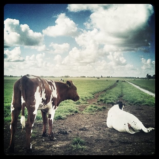 İşini bıraktı, Instagram fotoğrafçısı oldu