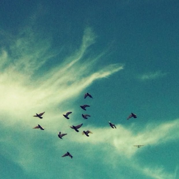 İşini bıraktı, Instagram fotoğrafçısı oldu