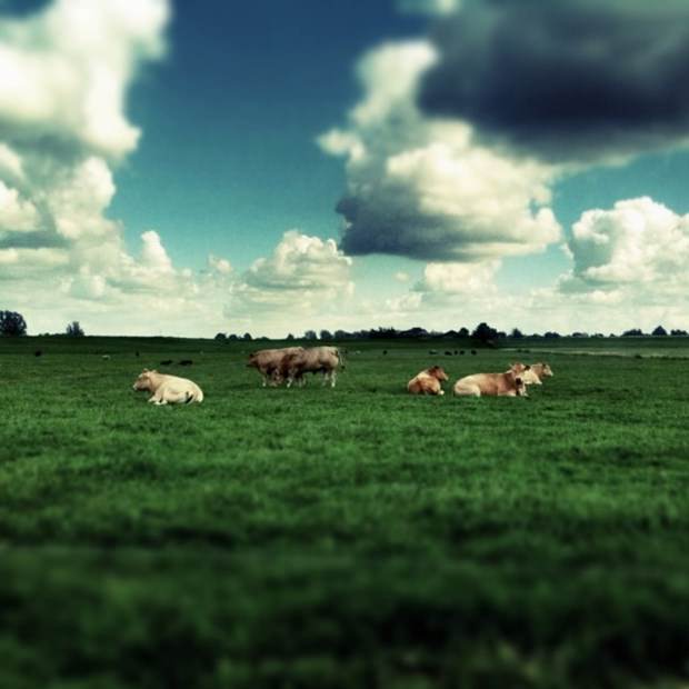 İşini bıraktı, Instagram fotoğrafçısı oldu