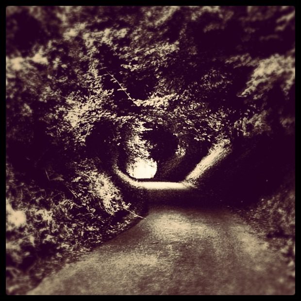 İşini bıraktı, Instagram fotoğrafçısı oldu