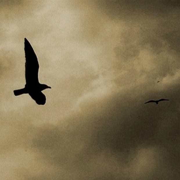 İşini bıraktı, Instagram fotoğrafçısı oldu