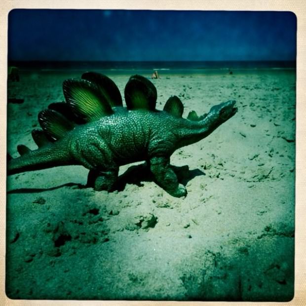 İşini bıraktı, Instagram fotoğrafçısı oldu