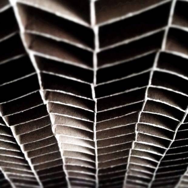 İşini bıraktı, Instagram fotoğrafçısı oldu